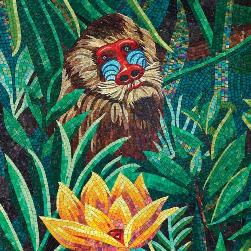 Artistic Madagascar_